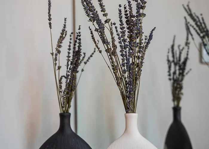 Fuoriporta Affitti Brevi - Millelire - Casangiorgio104